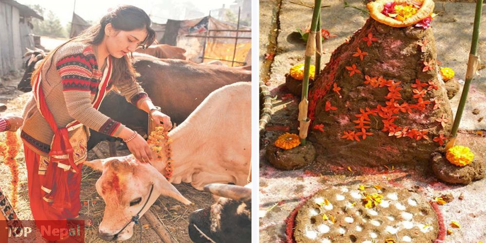 ६४ वर्ष पछि फेला पर्यो अनौठो चरा, आधा मानिस, आधा पंक्षी !