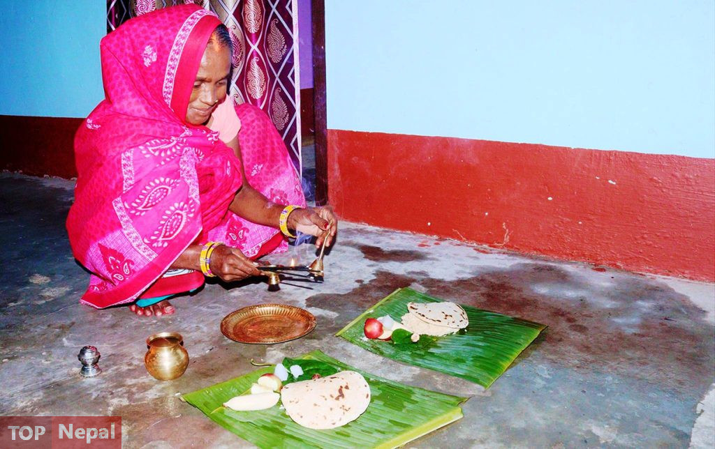 ६४ वर्ष पछि फेला पर्यो अनौठो चरा, आधा मानिस, आधा पंक्षी !