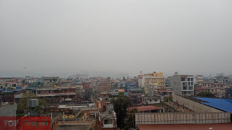 ६४ वर्ष पछि फेला पर्यो अनौठो चरा, आधा मानिस, आधा पंक्षी !
