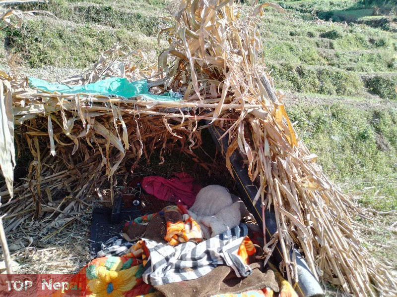 ६४ वर्ष पछि फेला पर्यो अनौठो चरा, आधा मानिस, आधा पंक्षी !