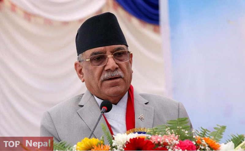 ६४ वर्ष पछि फेला पर्यो अनौठो चरा, आधा मानिस, आधा पंक्षी !