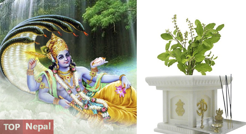६४ वर्ष पछि फेला पर्यो अनौठो चरा, आधा मानिस, आधा पंक्षी !