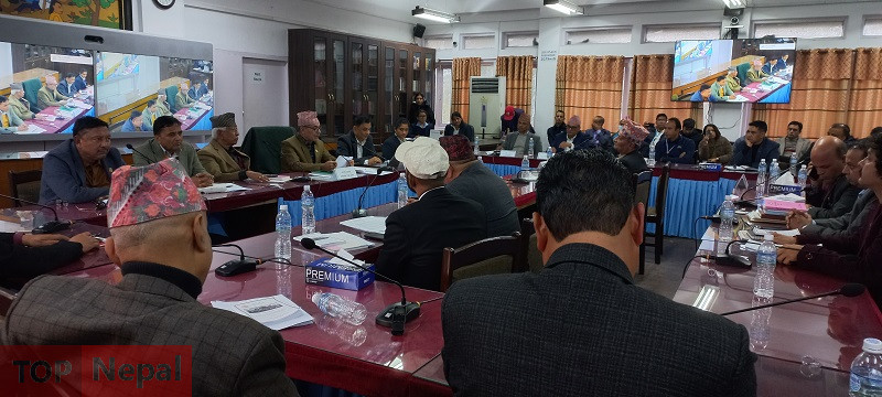 ६४ वर्ष पछि फेला पर्यो अनौठो चरा, आधा मानिस, आधा पंक्षी !