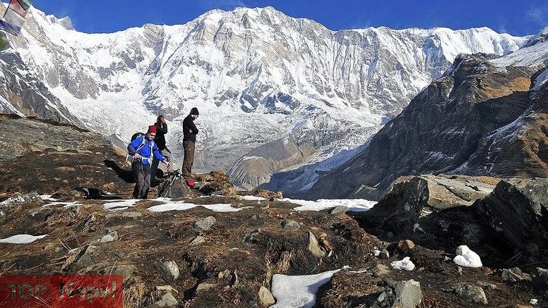 ६४ वर्ष पछि फेला पर्यो अनौठो चरा, आधा मानिस, आधा पंक्षी !