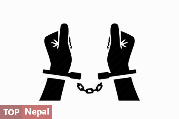 ६४ वर्ष पछि फेला पर्यो अनौठो चरा, आधा मानिस, आधा पंक्षी !