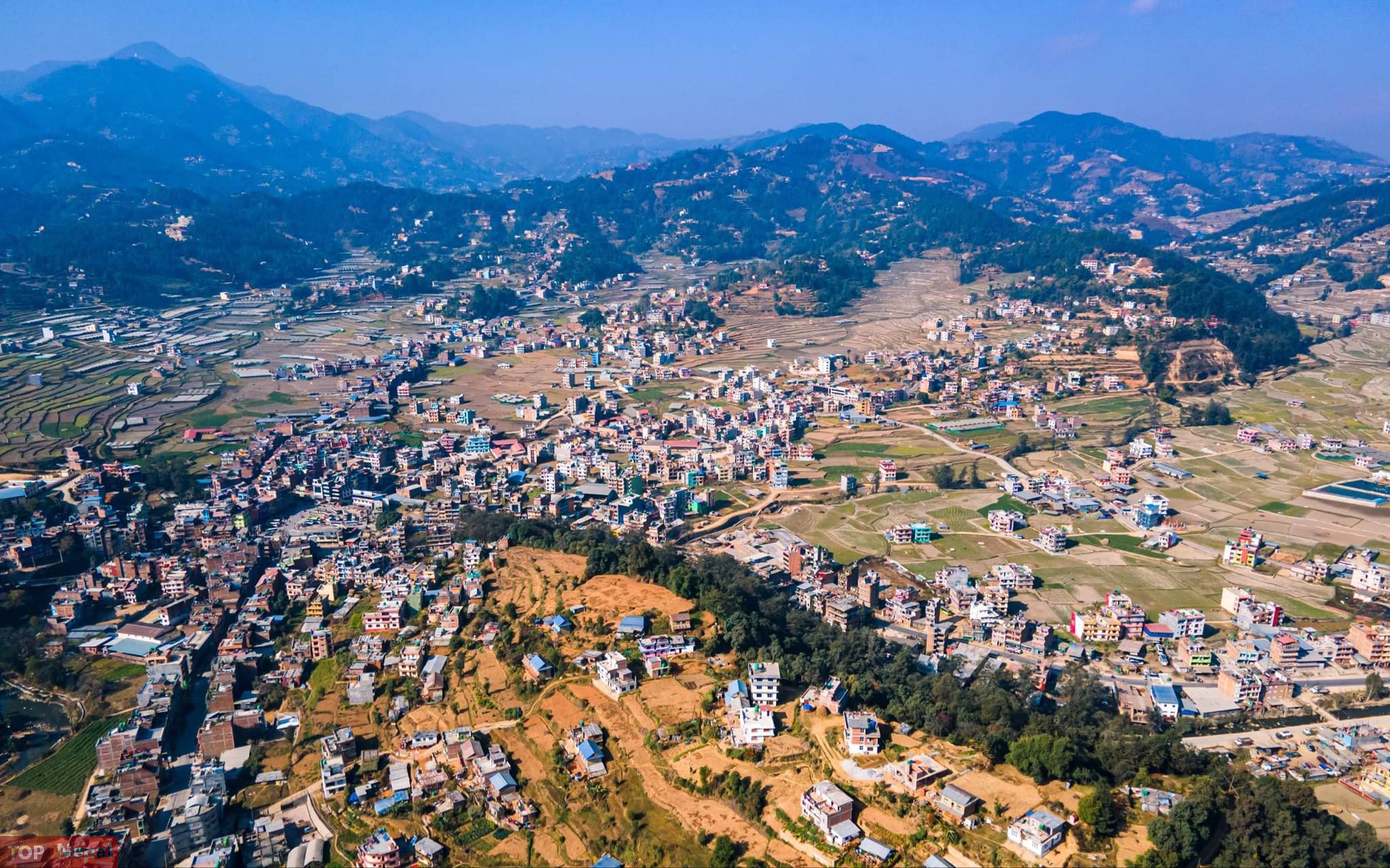 ६४ वर्ष पछि फेला पर्यो अनौठो चरा, आधा मानिस, आधा पंक्षी !