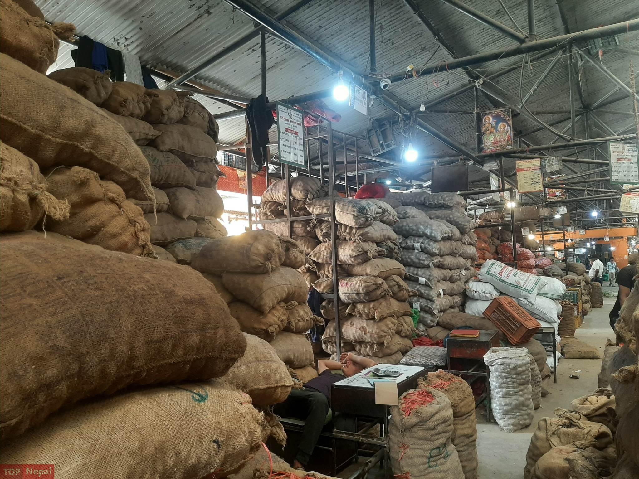 ६४ वर्ष पछि फेला पर्यो अनौठो चरा, आधा मानिस, आधा पंक्षी !