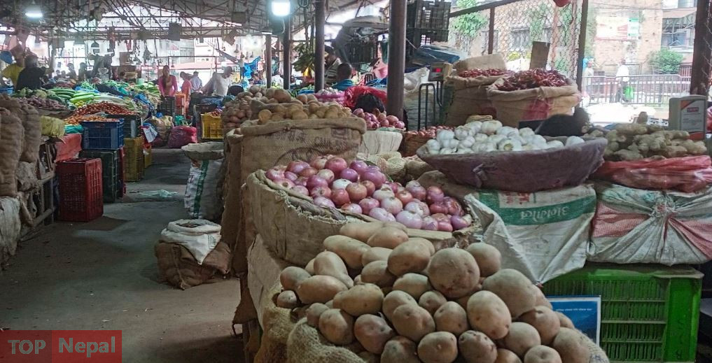 ६४ वर्ष पछि फेला पर्यो अनौठो चरा, आधा मानिस, आधा पंक्षी !