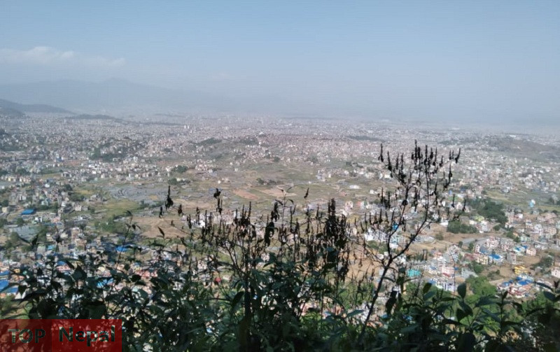 ६४ वर्ष पछि फेला पर्यो अनौठो चरा, आधा मानिस, आधा पंक्षी !