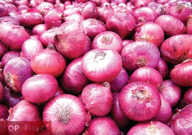 ६४ वर्ष पछि फेला पर्यो अनौठो चरा, आधा मानिस, आधा पंक्षी !