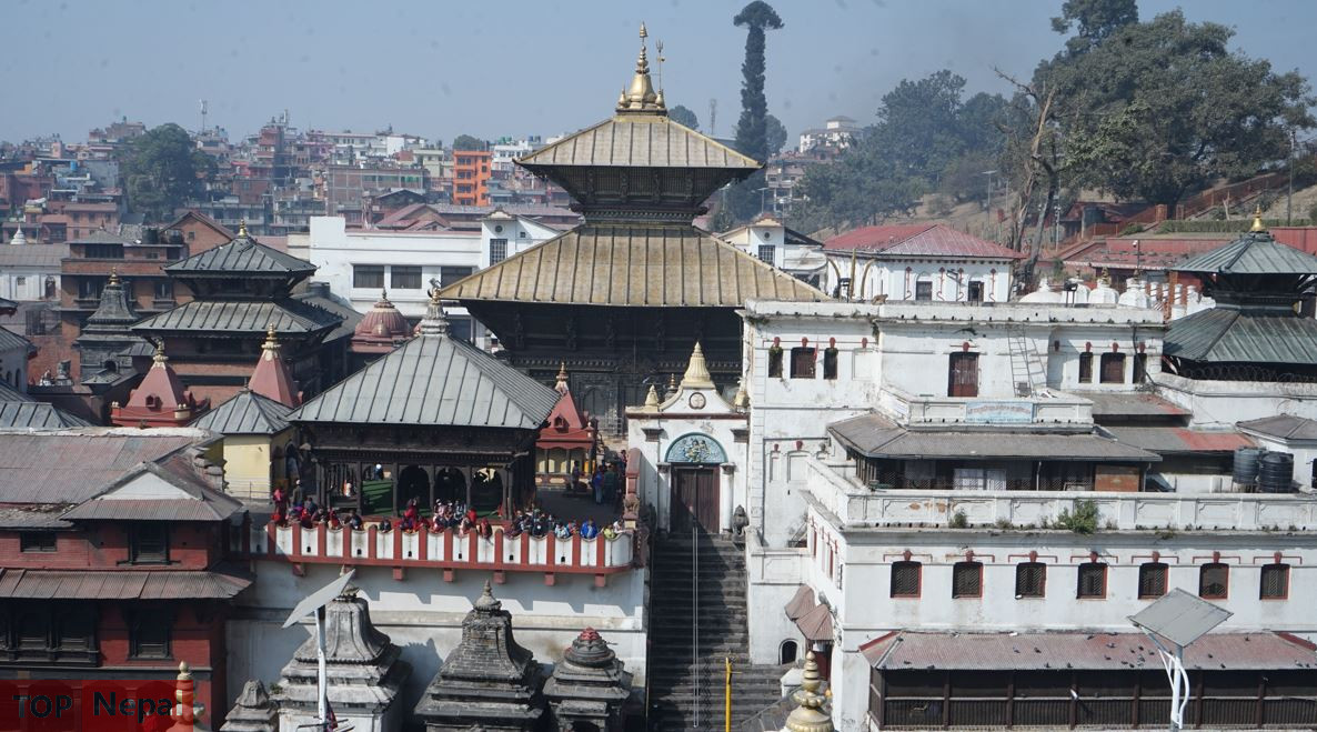 ६४ वर्ष पछि फेला पर्यो अनौठो चरा, आधा मानिस, आधा पंक्षी !