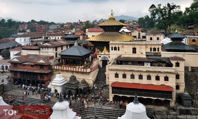 ६४ वर्ष पछि फेला पर्यो अनौठो चरा, आधा मानिस, आधा पंक्षी !