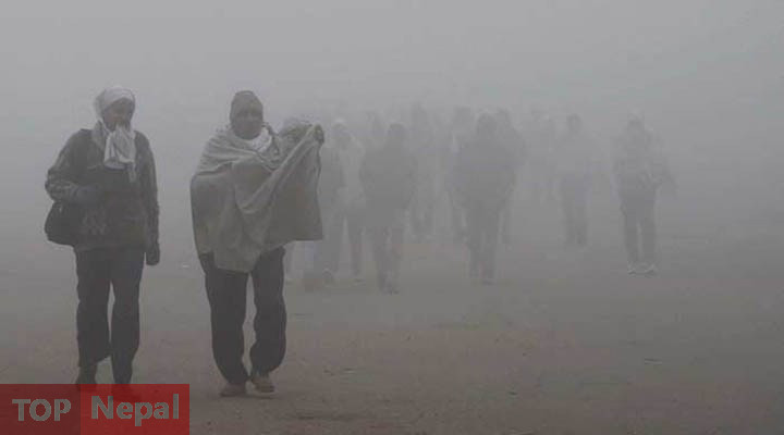 ६४ वर्ष पछि फेला पर्यो अनौठो चरा, आधा मानिस, आधा पंक्षी !