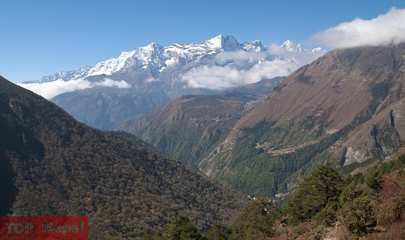 ६४ वर्ष पछि फेला पर्यो अनौठो चरा, आधा मानिस, आधा पंक्षी !