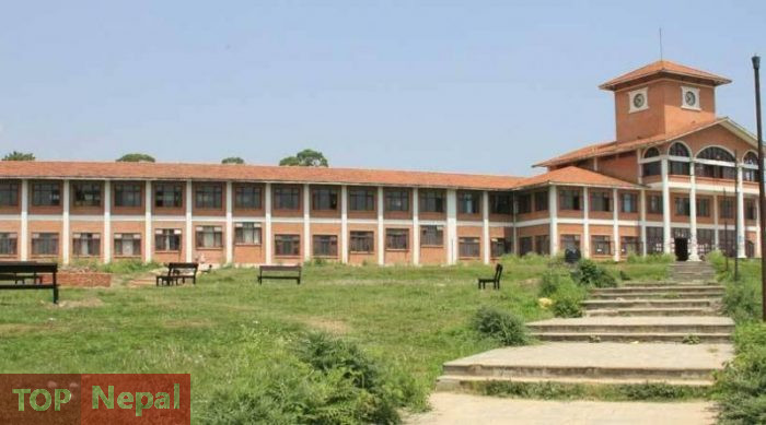 ६४ वर्ष पछि फेला पर्यो अनौठो चरा, आधा मानिस, आधा पंक्षी !