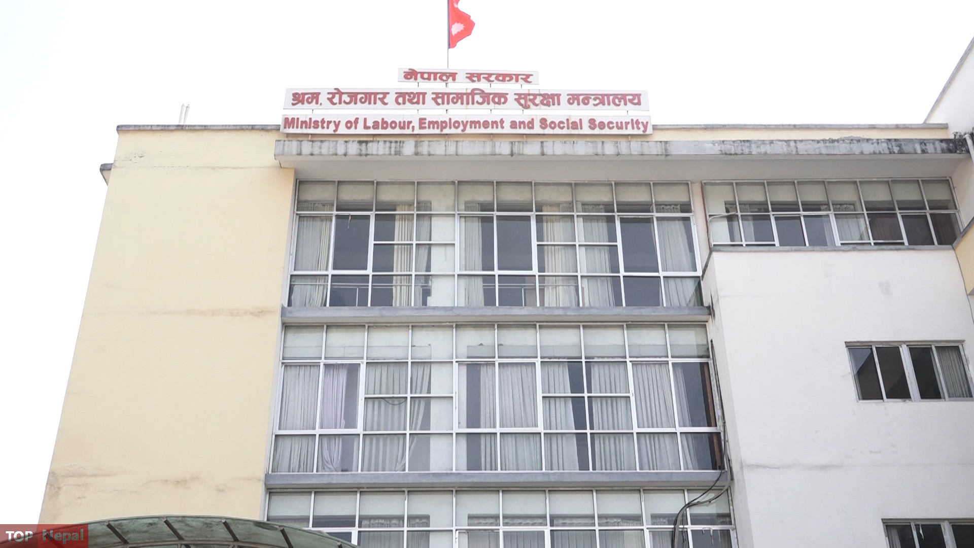 ६४ वर्ष पछि फेला पर्यो अनौठो चरा, आधा मानिस, आधा पंक्षी !