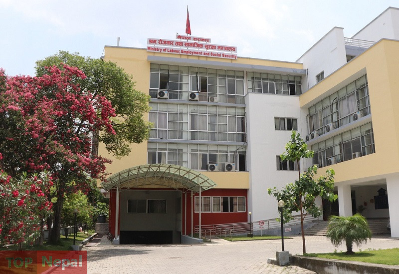 ६४ वर्ष पछि फेला पर्यो अनौठो चरा, आधा मानिस, आधा पंक्षी !