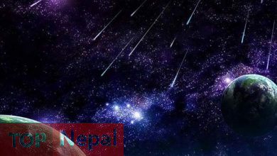 ६४ वर्ष पछि फेला पर्यो अनौठो चरा, आधा मानिस, आधा पंक्षी !
