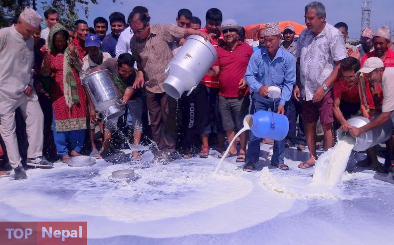 ६४ वर्ष पछि फेला पर्यो अनौठो चरा, आधा मानिस, आधा पंक्षी !