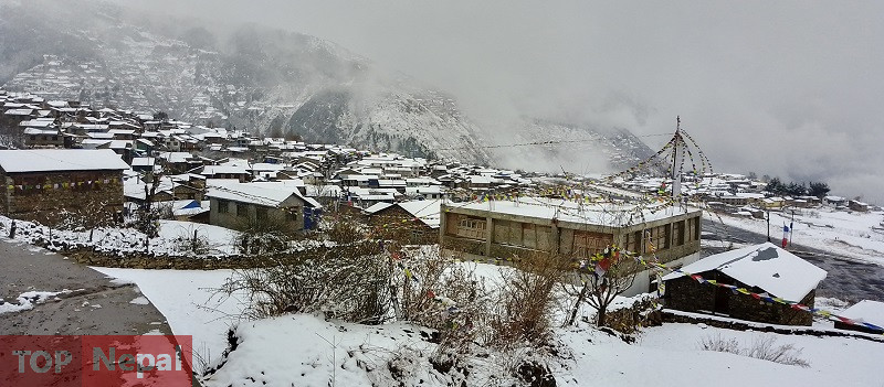 ६४ वर्ष पछि फेला पर्यो अनौठो चरा, आधा मानिस, आधा पंक्षी !