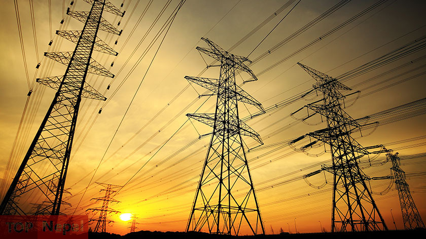 ६४ वर्ष पछि फेला पर्यो अनौठो चरा, आधा मानिस, आधा पंक्षी !