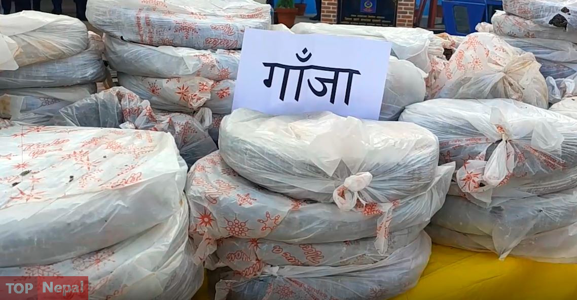 ६४ वर्ष पछि फेला पर्यो अनौठो चरा, आधा मानिस, आधा पंक्षी !