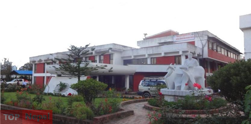 ६४ वर्ष पछि फेला पर्यो अनौठो चरा, आधा मानिस, आधा पंक्षी !