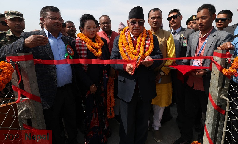 ६४ वर्ष पछि फेला पर्यो अनौठो चरा, आधा मानिस, आधा पंक्षी !