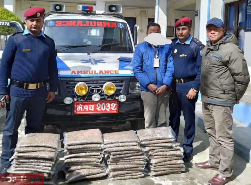 ६४ वर्ष पछि फेला पर्यो अनौठो चरा, आधा मानिस, आधा पंक्षी !