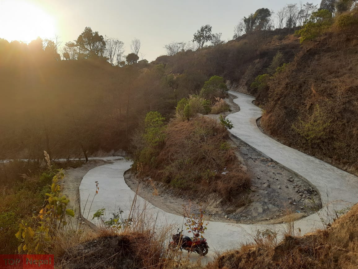 ६४ वर्ष पछि फेला पर्यो अनौठो चरा, आधा मानिस, आधा पंक्षी !