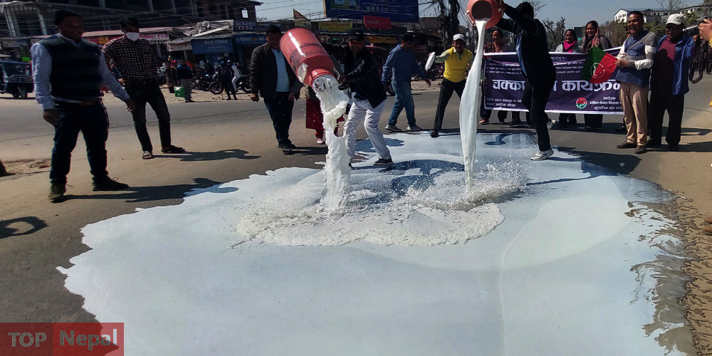 ६४ वर्ष पछि फेला पर्यो अनौठो चरा, आधा मानिस, आधा पंक्षी !