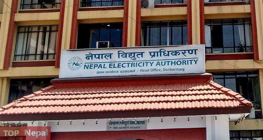 ६४ वर्ष पछि फेला पर्यो अनौठो चरा, आधा मानिस, आधा पंक्षी !