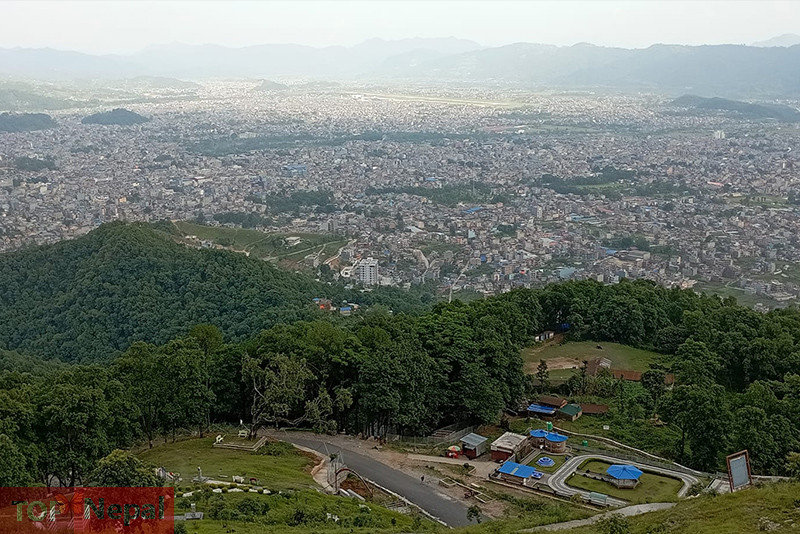 ६४ वर्ष पछि फेला पर्यो अनौठो चरा, आधा मानिस, आधा पंक्षी !