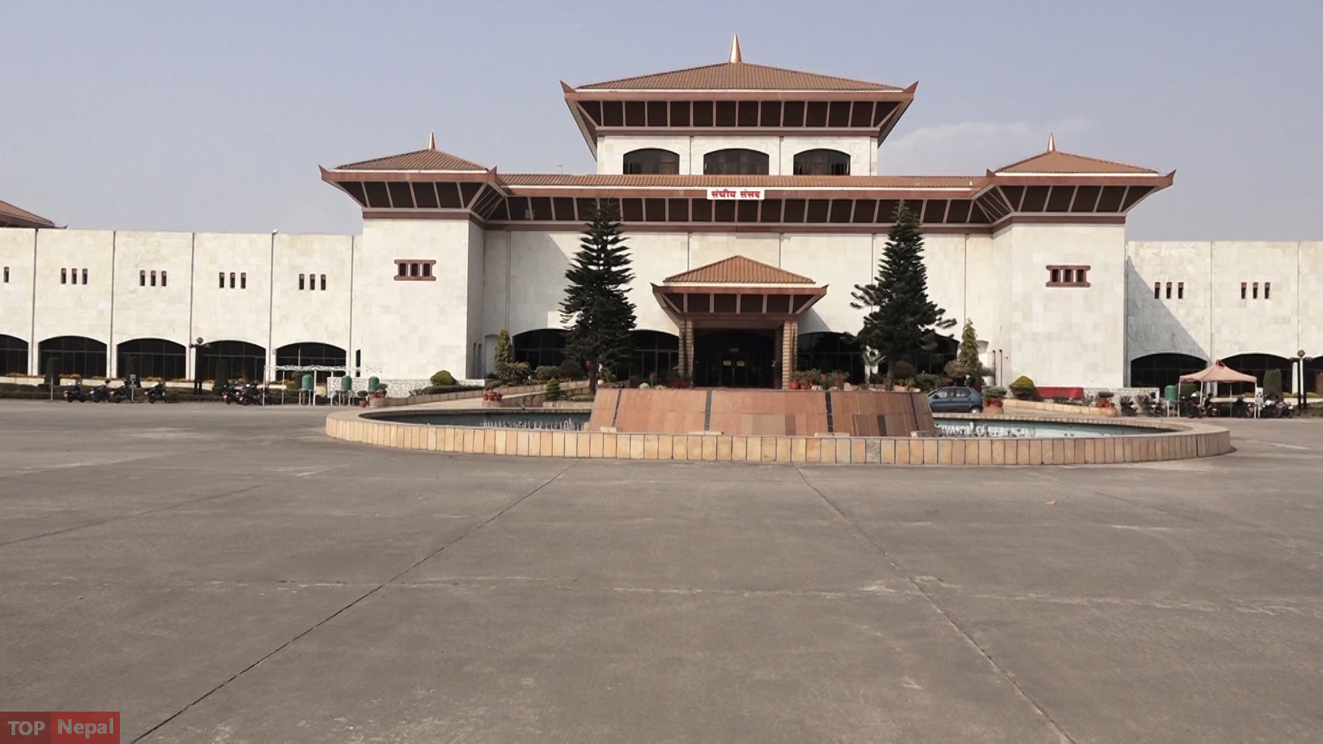 ६४ वर्ष पछि फेला पर्यो अनौठो चरा, आधा मानिस, आधा पंक्षी !