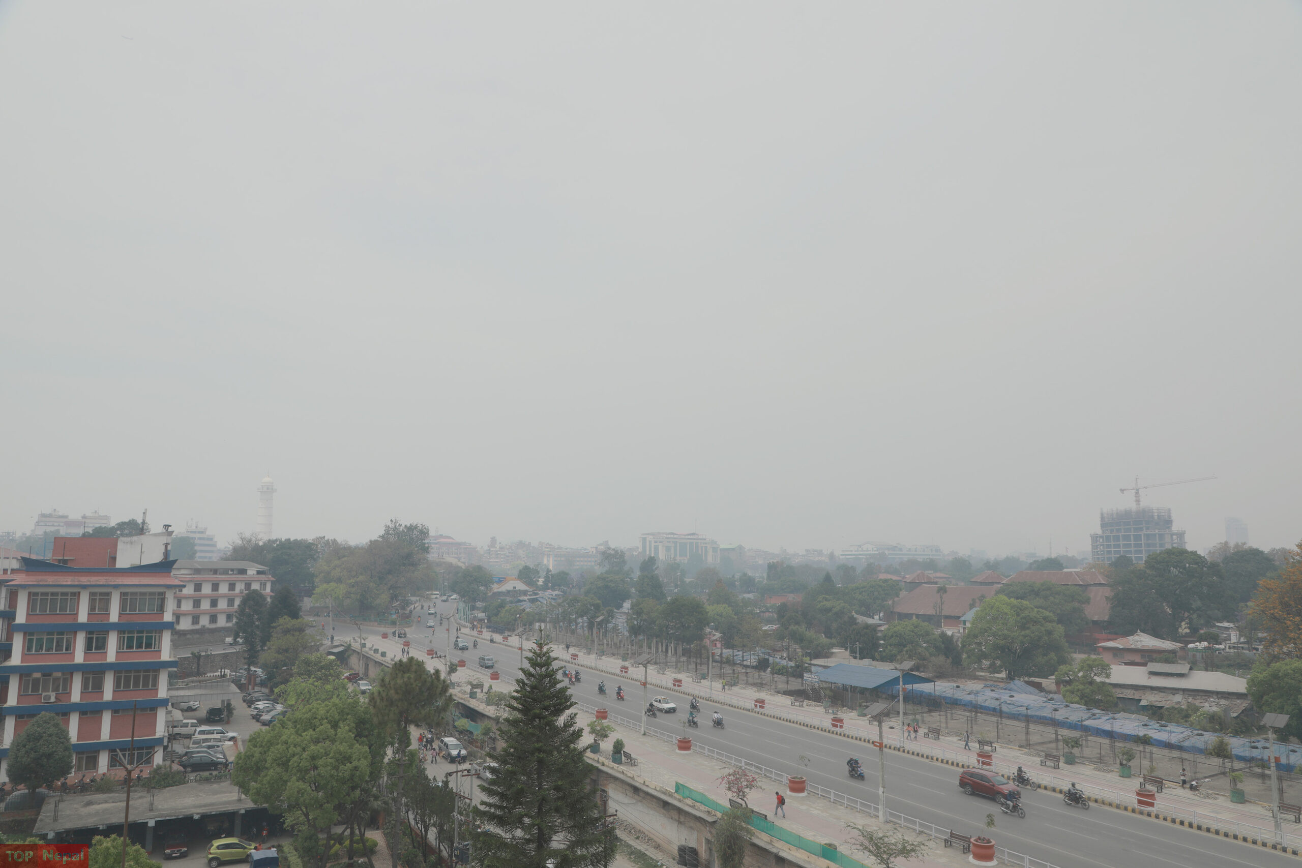 ६४ वर्ष पछि फेला पर्यो अनौठो चरा, आधा मानिस, आधा पंक्षी !
