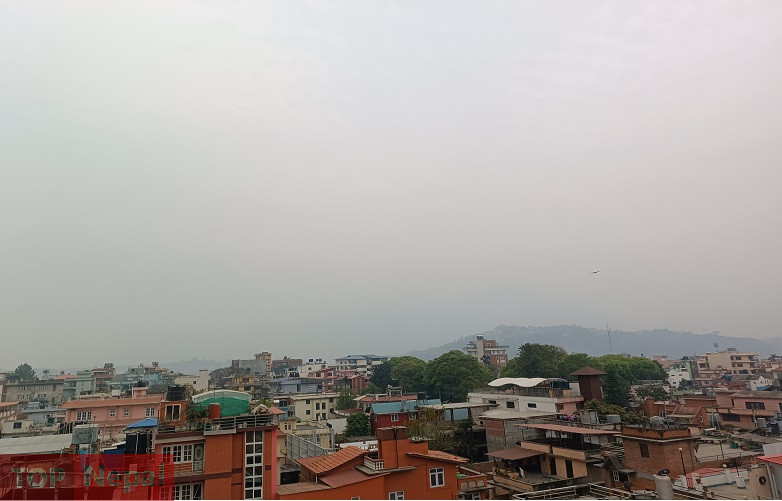 ६४ वर्ष पछि फेला पर्यो अनौठो चरा, आधा मानिस, आधा पंक्षी !