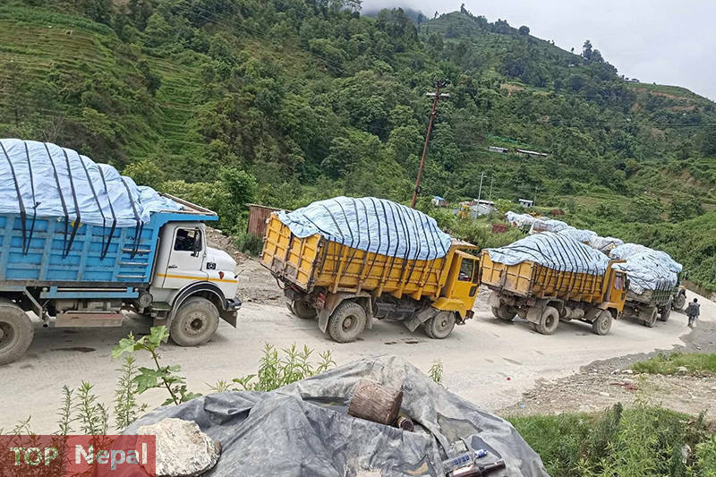 ६४ वर्ष पछि फेला पर्यो अनौठो चरा, आधा मानिस, आधा पंक्षी !