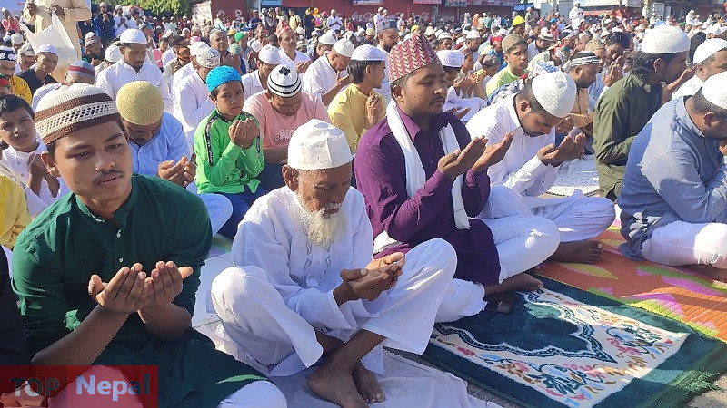 ६४ वर्ष पछि फेला पर्यो अनौठो चरा, आधा मानिस, आधा पंक्षी !