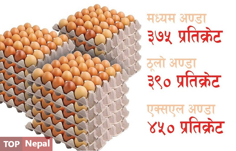 ६४ वर्ष पछि फेला पर्यो अनौठो चरा, आधा मानिस, आधा पंक्षी !