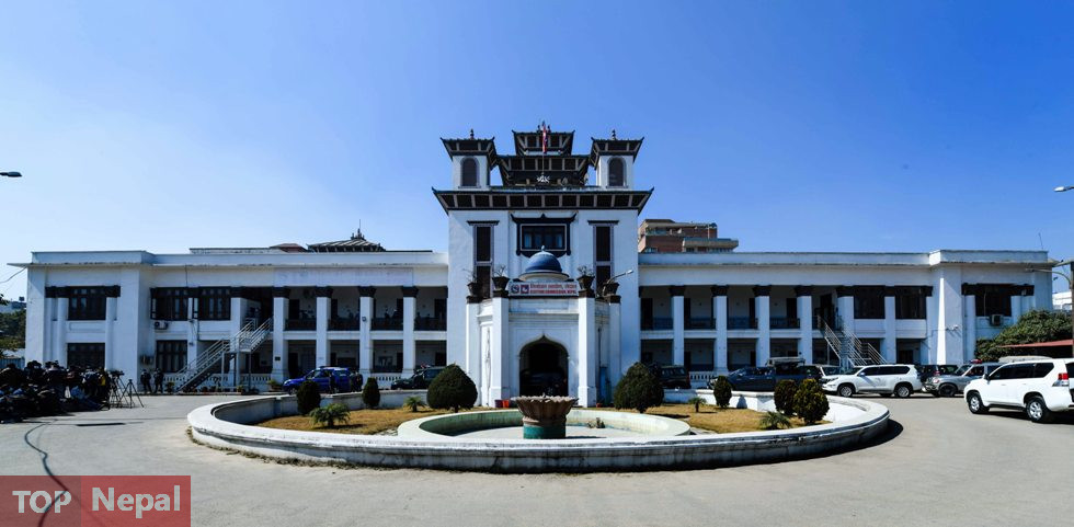 ६४ वर्ष पछि फेला पर्यो अनौठो चरा, आधा मानिस, आधा पंक्षी !