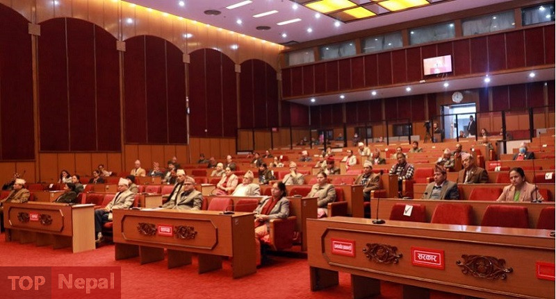 ६४ वर्ष पछि फेला पर्यो अनौठो चरा, आधा मानिस, आधा पंक्षी !