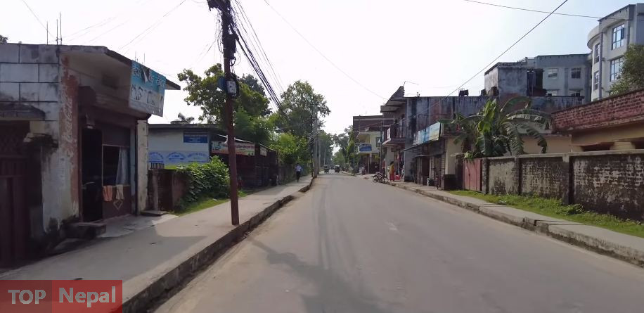 ६४ वर्ष पछि फेला पर्यो अनौठो चरा, आधा मानिस, आधा पंक्षी !