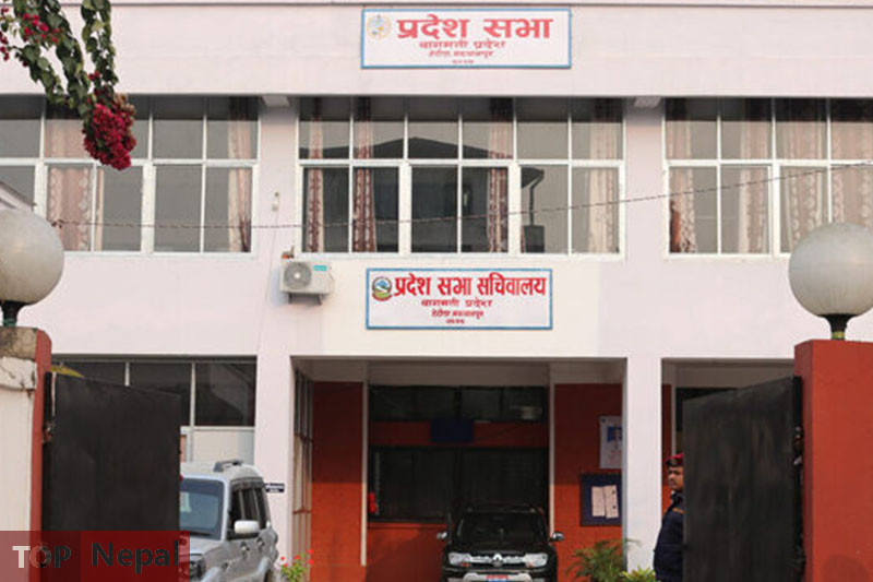 ६४ वर्ष पछि फेला पर्यो अनौठो चरा, आधा मानिस, आधा पंक्षी !