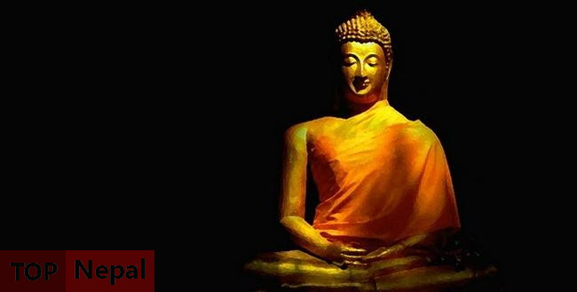 ६४ वर्ष पछि फेला पर्यो अनौठो चरा, आधा मानिस, आधा पंक्षी !