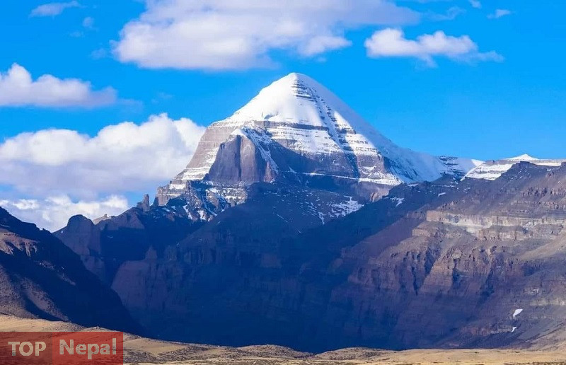६४ वर्ष पछि फेला पर्यो अनौठो चरा, आधा मानिस, आधा पंक्षी !