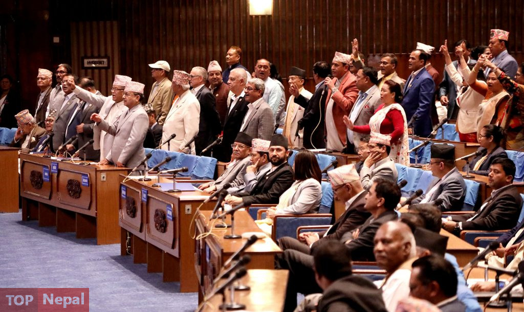 ६४ वर्ष पछि फेला पर्यो अनौठो चरा, आधा मानिस, आधा पंक्षी !