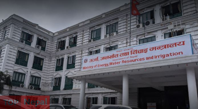 ६४ वर्ष पछि फेला पर्यो अनौठो चरा, आधा मानिस, आधा पंक्षी !