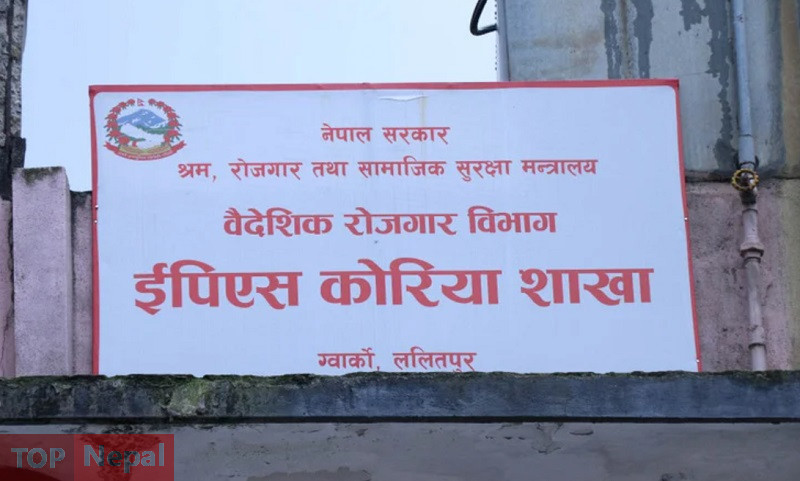 ६४ वर्ष पछि फेला पर्यो अनौठो चरा, आधा मानिस, आधा पंक्षी !