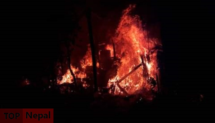 ६४ वर्ष पछि फेला पर्यो अनौठो चरा, आधा मानिस, आधा पंक्षी !