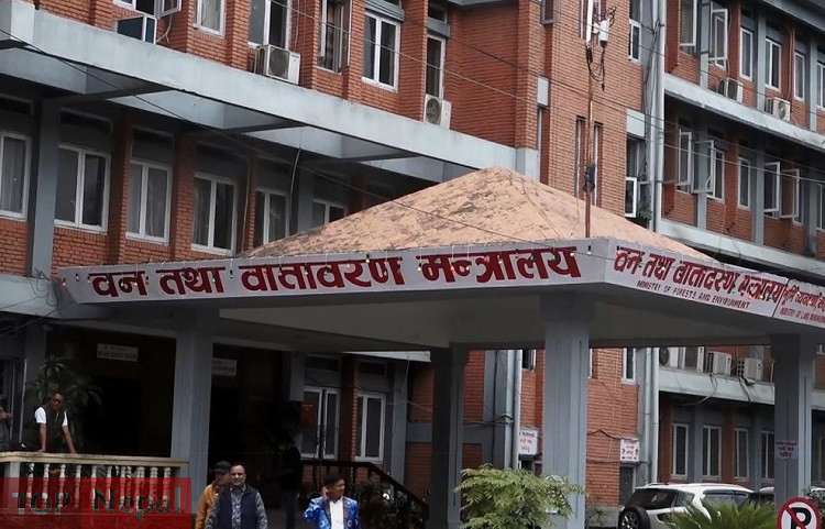 ६४ वर्ष पछि फेला पर्यो अनौठो चरा, आधा मानिस, आधा पंक्षी !